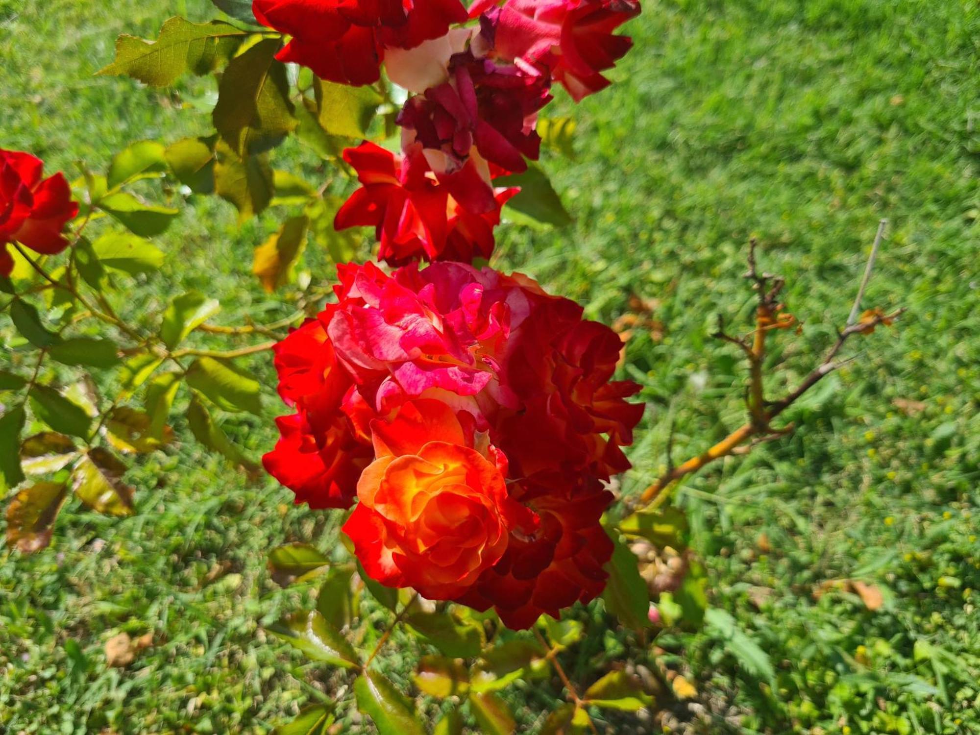 مبيت وإفطار Montecastrilli Dolce Alba المظهر الخارجي الصورة